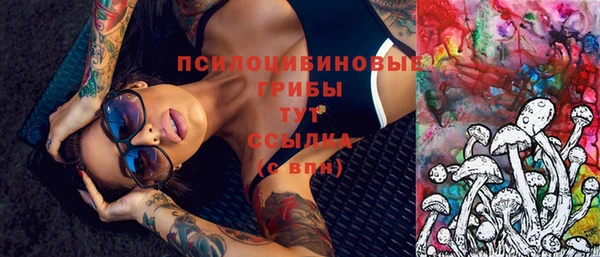 круглые Абаза