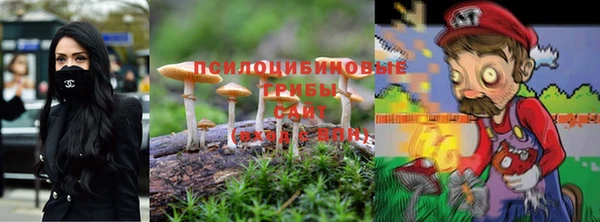 ALPHA PVP Алексин