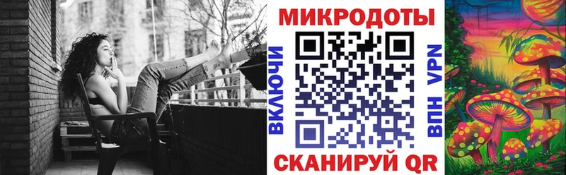 Галлюциногенные грибы прущие грибы  Кадников 